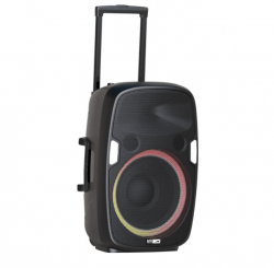 Wireless Tailgate Karaoke Speaker